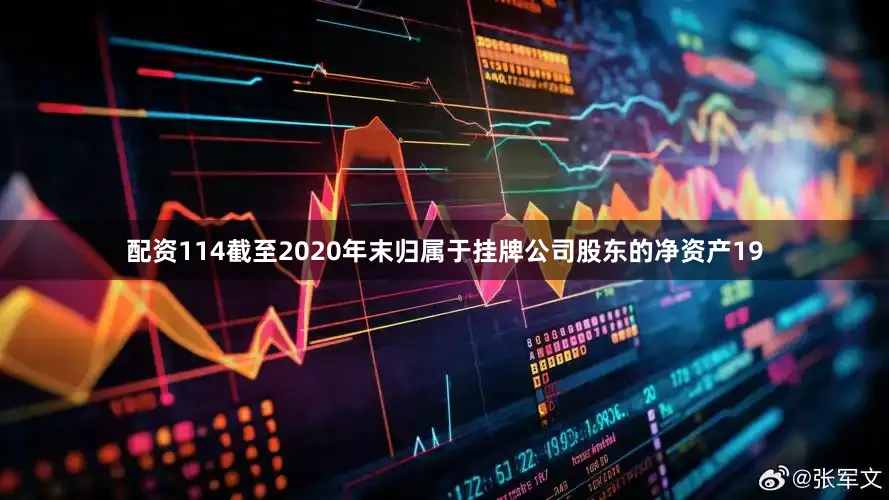 配资114截至2020年末归属于挂牌公司股东的净资产19