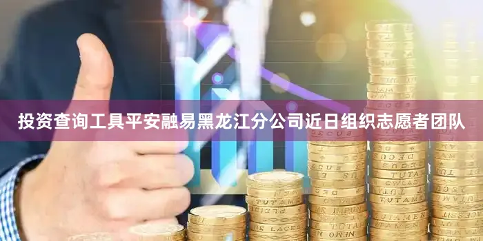 投资查询工具平安融易黑龙江分公司近日组织志愿者团队
