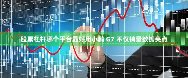 股票杠杆哪个平台最好用小鹏 G7 不仅销量数据亮点