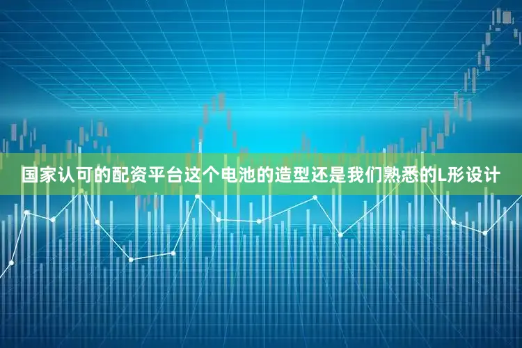 国家认可的配资平台这个电池的造型还是我们熟悉的L形设计